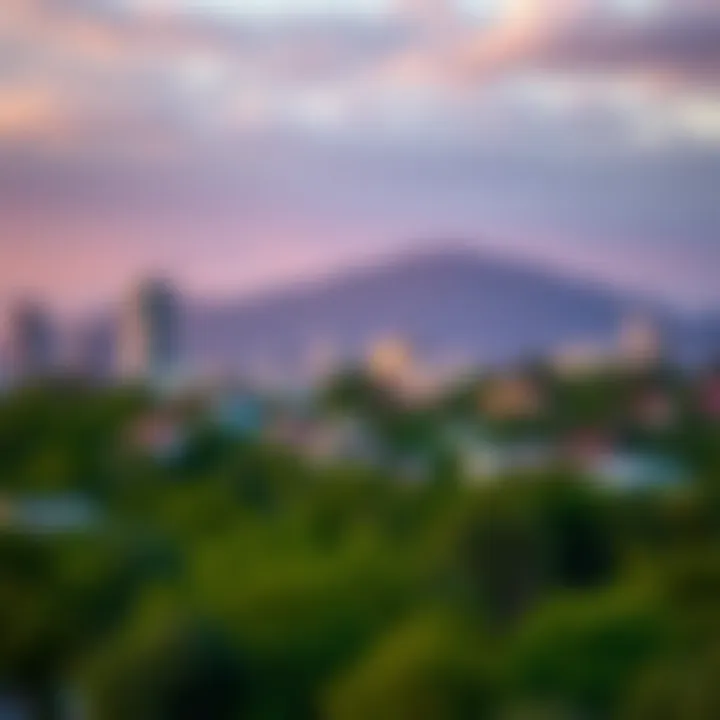 Illustration of regulatory framework and safety measures for forex binary options in Kenya